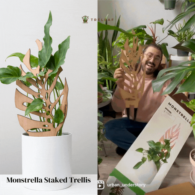 Monstrella