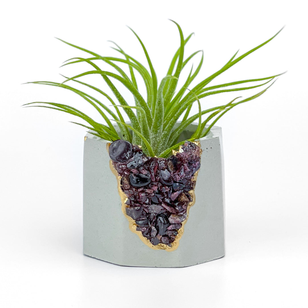 geode air plant Black Tourmaline Geode Planter