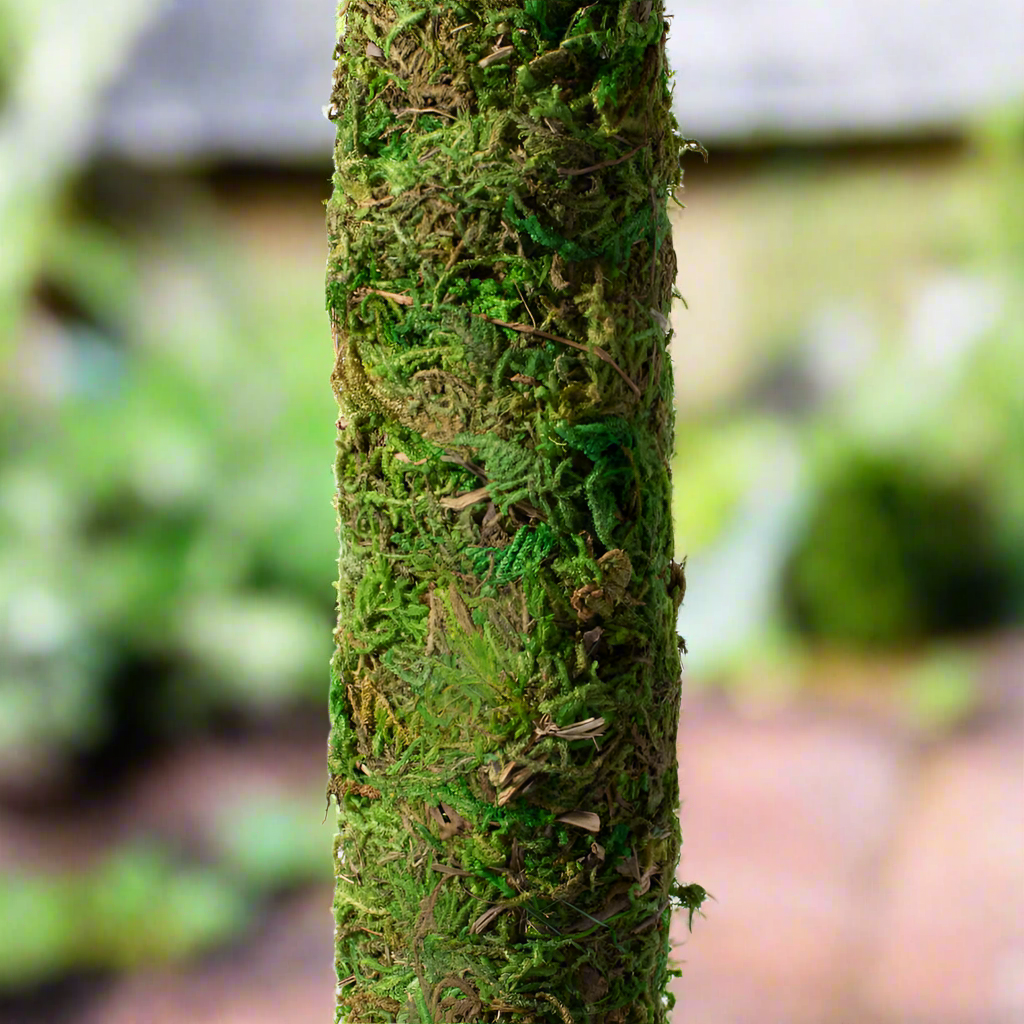 green moss pole Moss Pole Green 18"