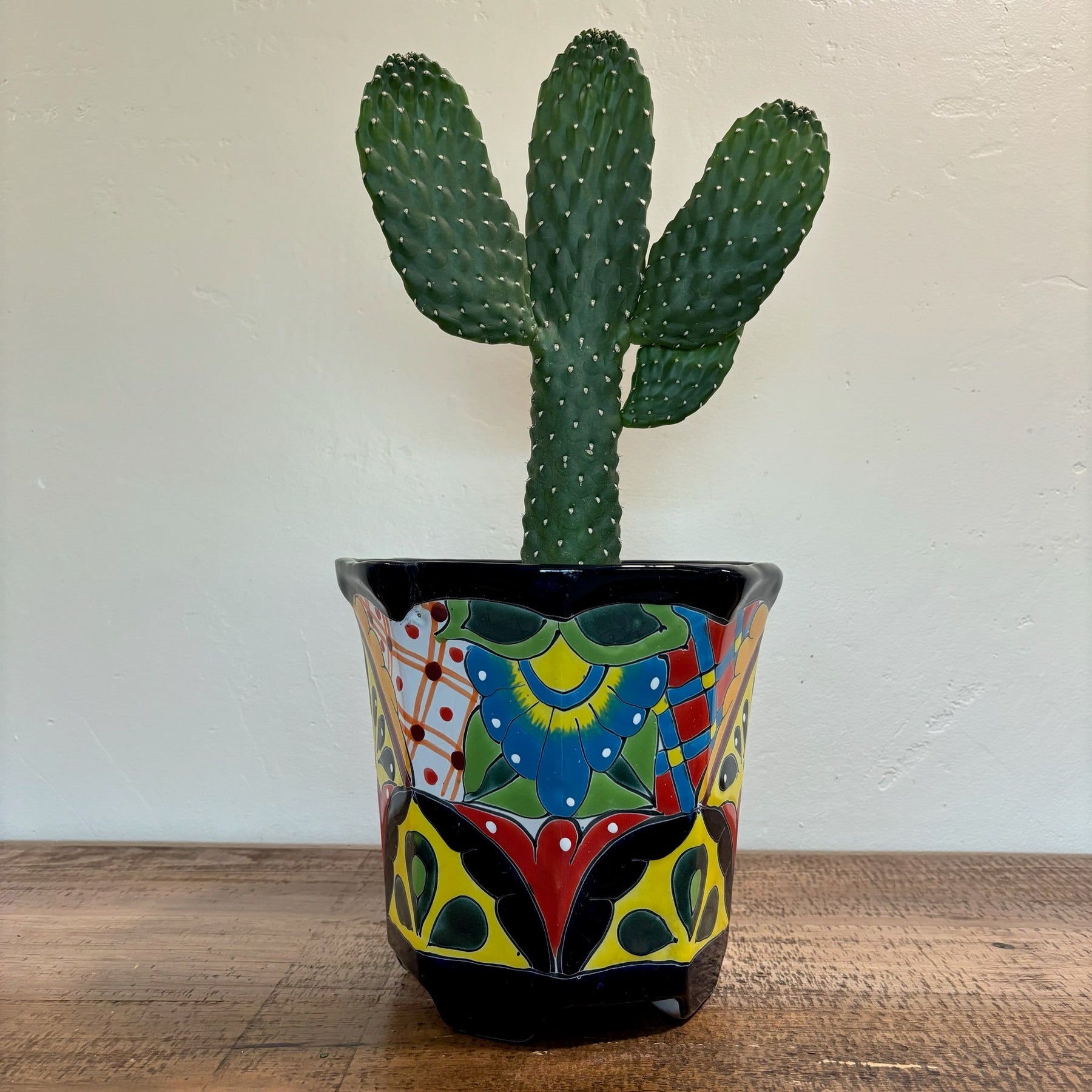 prickly pear cactus pot Cowboy Prickly Pear