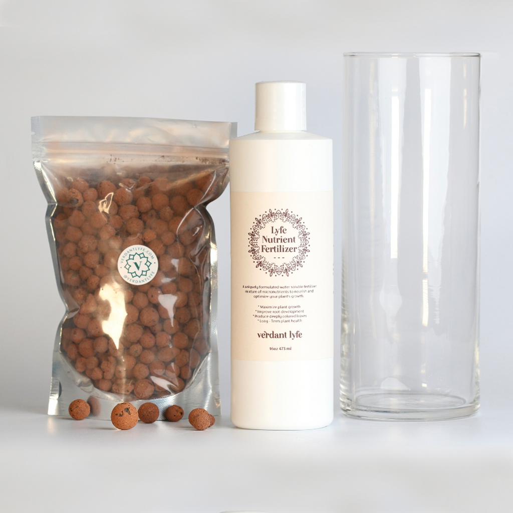 fertilizer for plants in leca Grow In Leca Bundle