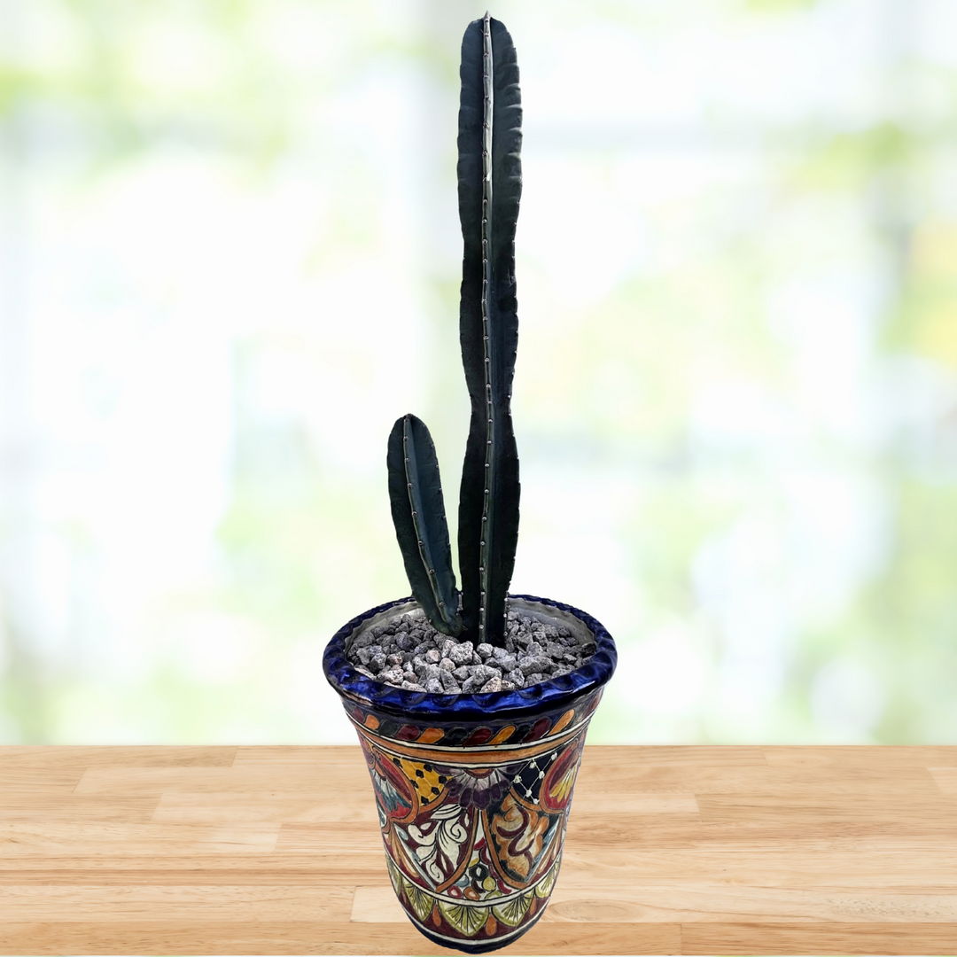 Peruvian Apple Cactus 20
