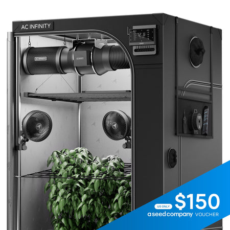6 plant grow tent AC Infinity Advance System Pro 5x5 6-Plant Kit Color:- Purple Tent Place Cards in and succulents Toyota Tacoma rooftop tent