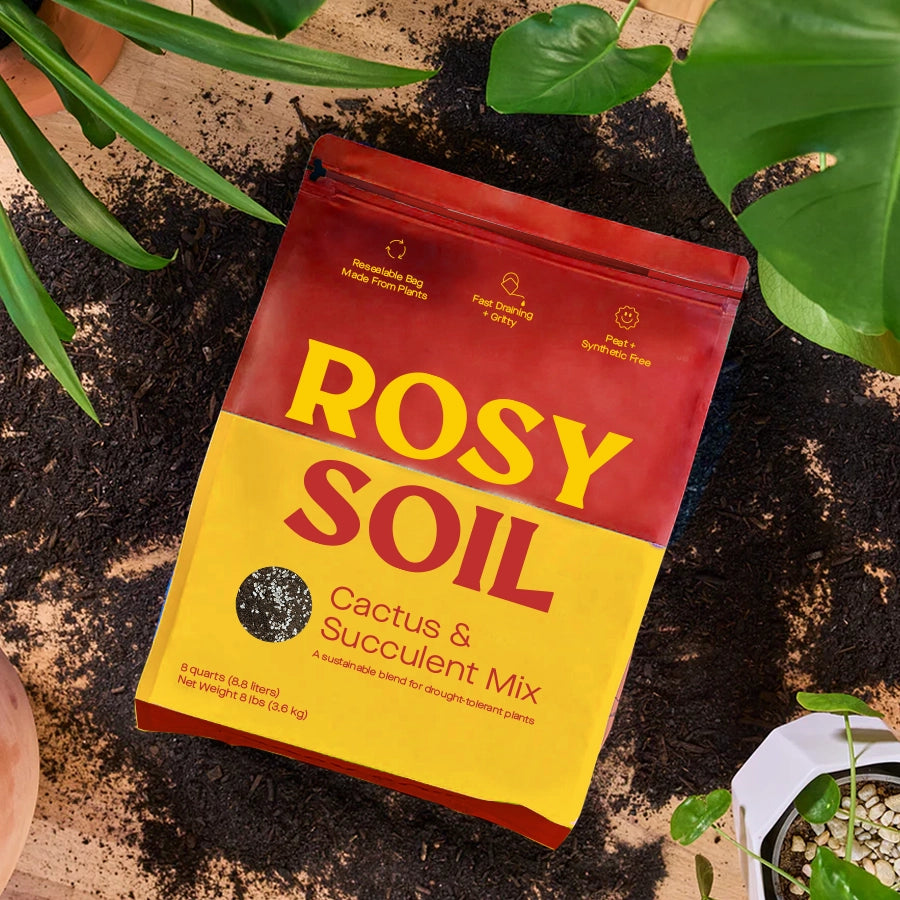 home depot cactus soil Rosy Cactus & Succulent Potting Soil