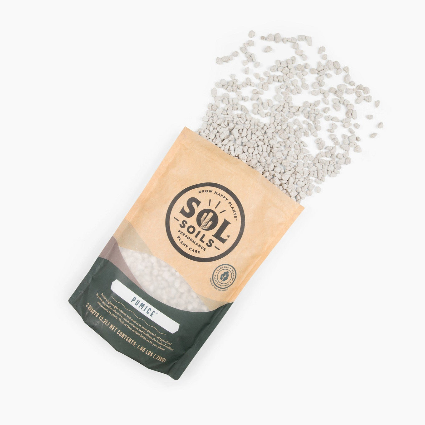Pumice | The American Gringo